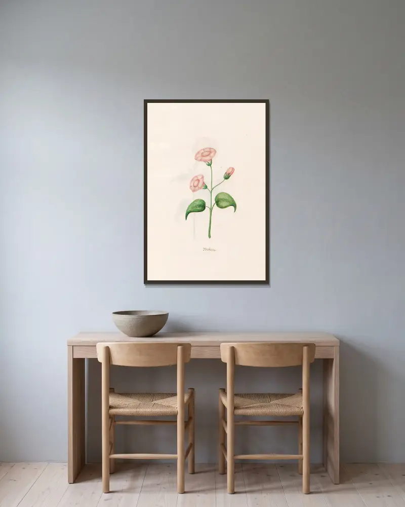 Nicotiana von Magdelena Rosina Funck gerahmt an einer Wand