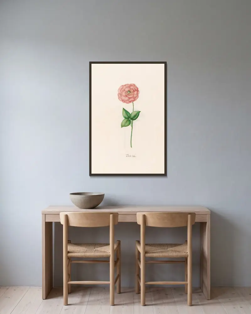 Türck. Rose, 1692 – Nr. 2 von Magdelena Rosina Funck gerahmt an einer Wand