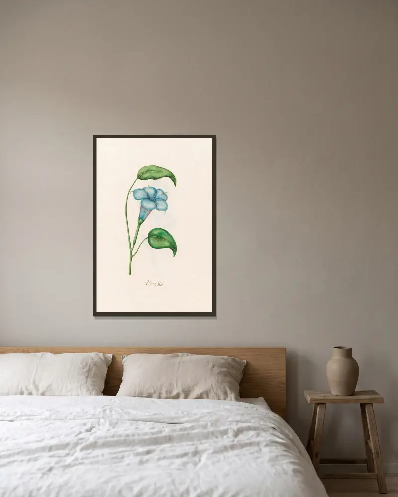 Türckish klock von Magdelena Rosina Funck gerahmt an einer Wand