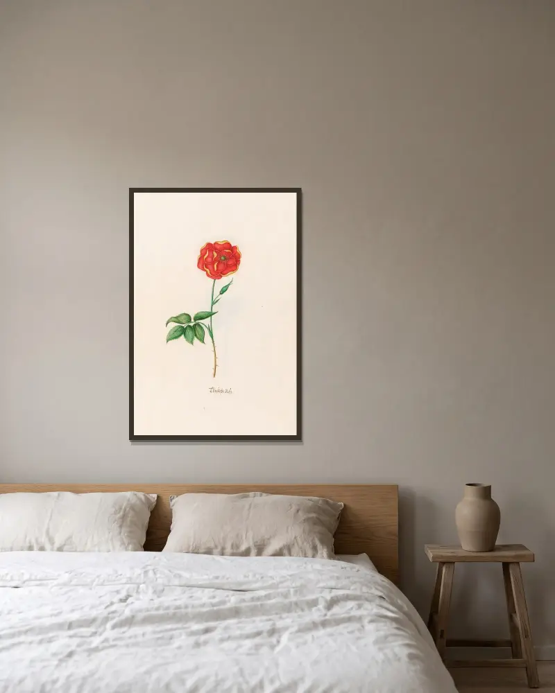 Türckische Rose von Magdelena Rosina Funck gerahmt an einer Wand