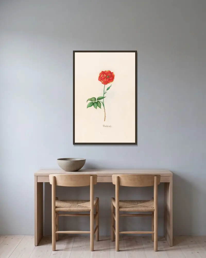 Türckische Rose von Magdelena Rosina Funck gerahmt an einer Wand