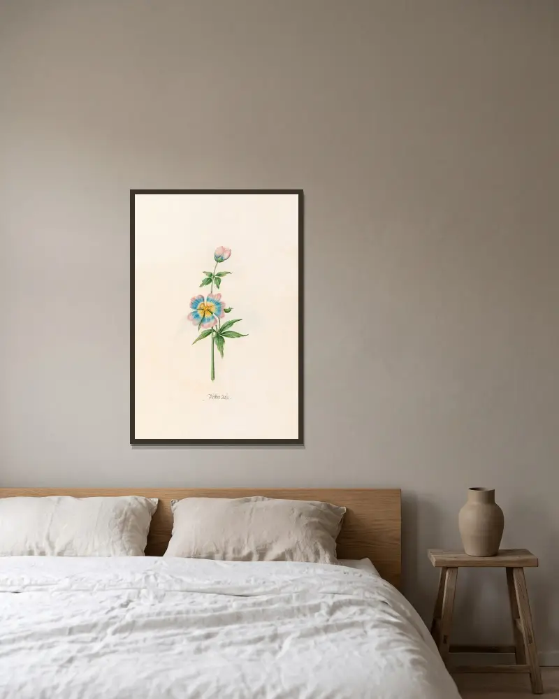 Wetterrose, 1692 – Nr. 1 von Magdelena Rosina Funck gerahmt an einer Wand