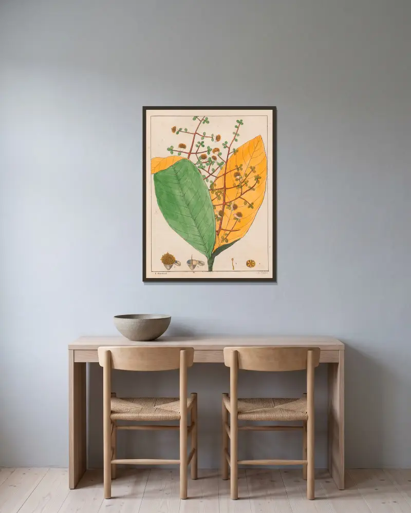 Calyptranthes Aromatica von Auguste de Saint-Hilaire gerahmt an einer Wand