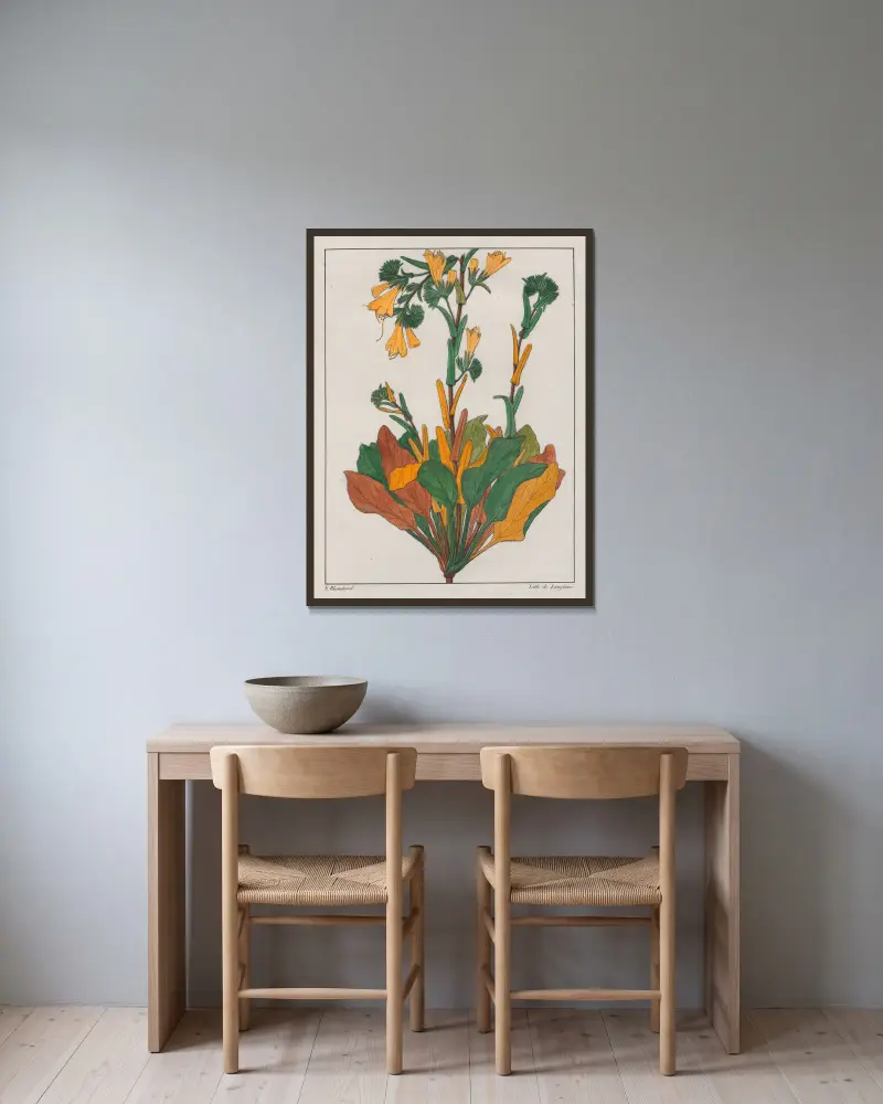 Echium Plantagineum av Auguste de Saint-Hilaire inramad på en vägg