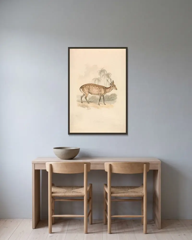 Hog Deer av Samuel Howitt inramad på en vägg