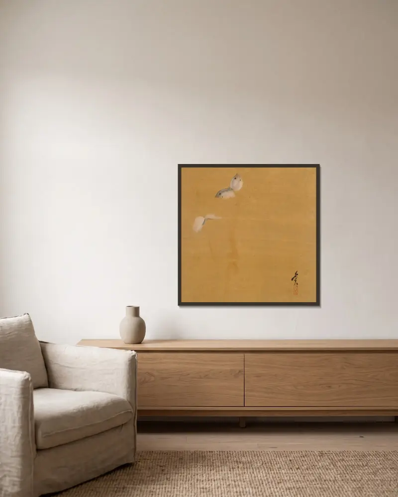 Nachtfalter von Shibata Zeshin gerahmt an einer Wand