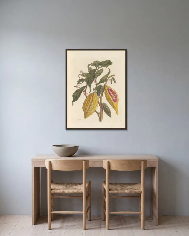 Abhandlung über die Erzeugung und Verwandlung der Insekten von Surinam Taf. 33 von Maria Sibylla Merian gerahmt an einer Wand