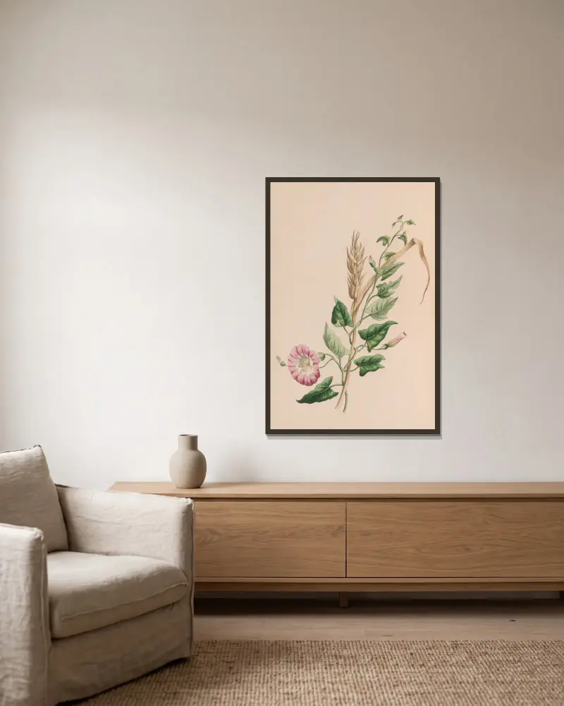 Geranium, John Stevens Henslow v rámu na stěně