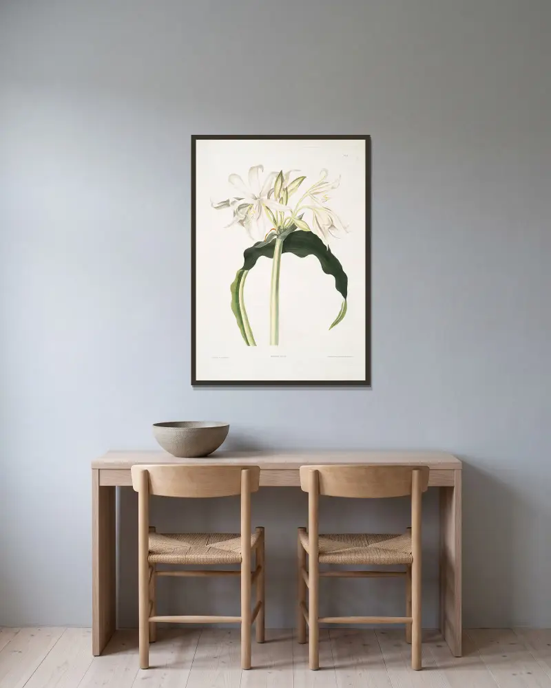 Amaryllis aulica av Priscilla Susan Bury inramad på en vägg