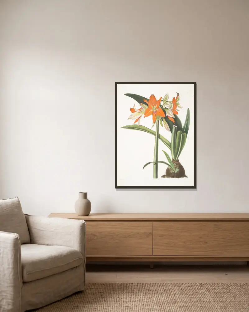 Amaryllis fulgida, 1834 – nr 1 av Priscilla Susan Bury inramad på en vägg