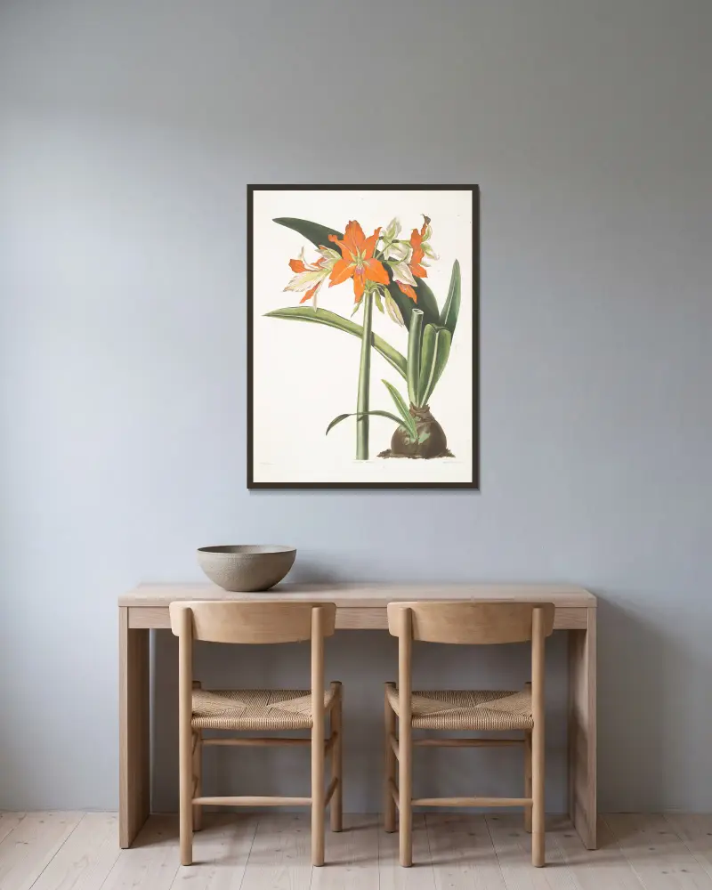 Amaryllis fulgida, 1834 – nr 1 av Priscilla Susan Bury inramad på en vägg
