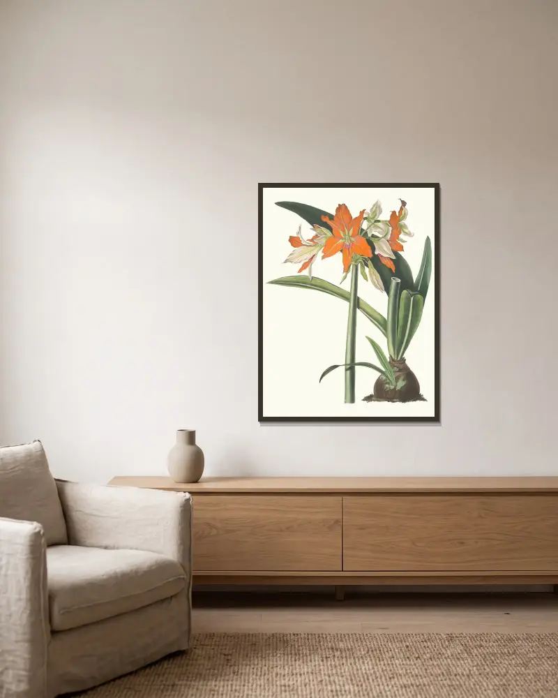 Amaryllis Fulgida, 1834 – nr 2 av Priscilla Susan Bury inramad på en vägg