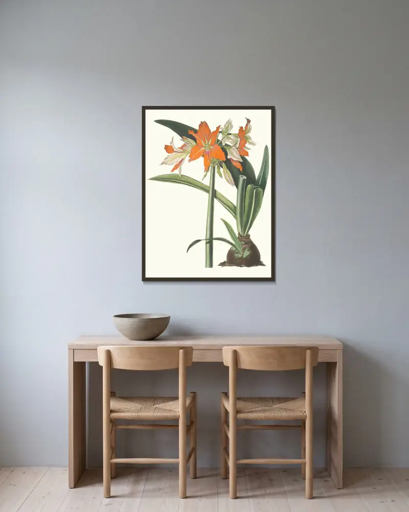 Amaryllis Fulgida, 1834 – nr 2 av Priscilla Susan Bury inramad på en vägg