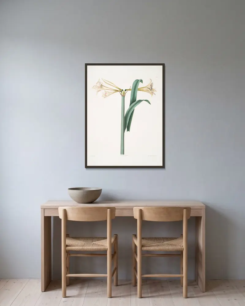 Amaryllis Harrisoni, Priscilla Susan Bury w ramie na ścianie