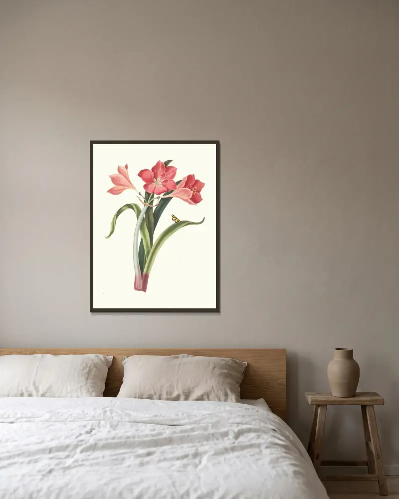 Amaryllis Purpurea (Major) av Priscilla Susan Bury inramad på en vägg
