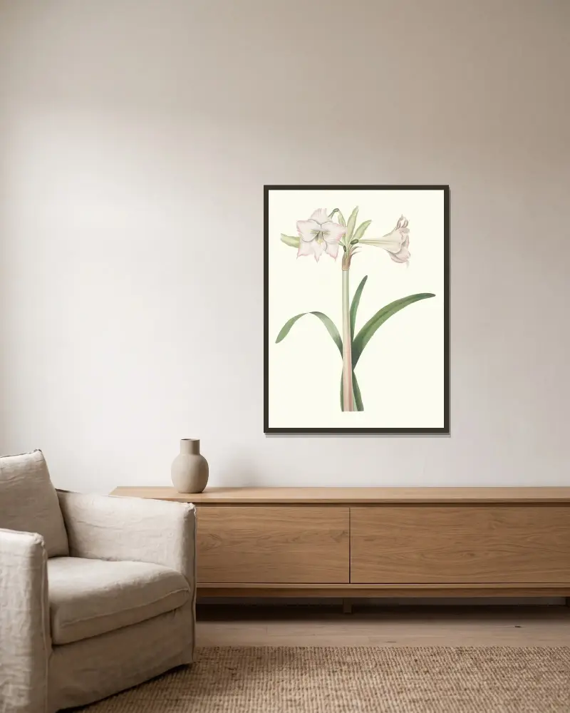 Amaryllis Solandriflora Var. av Priscilla Susan Bury inramad på en vägg