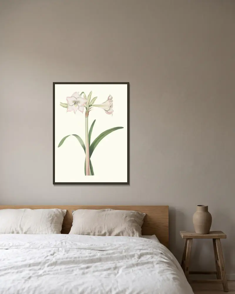 Amaryllis Solandriflora Var. av Priscilla Susan Bury inramad på en vägg