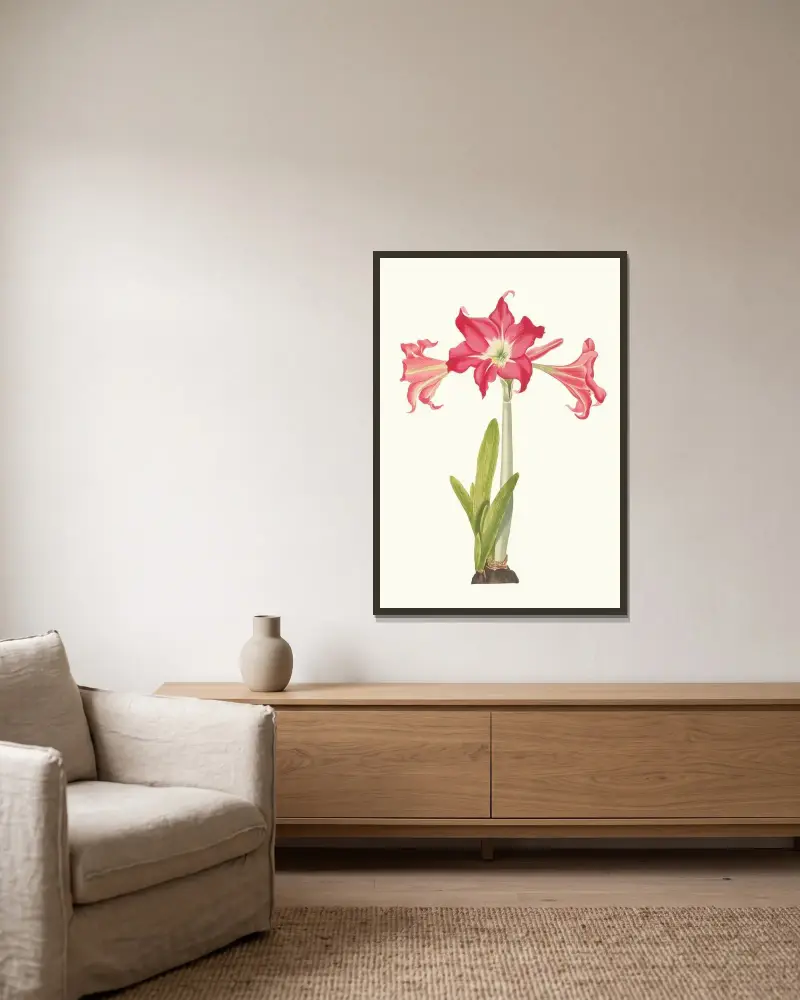 Amaryllis Solandriflora Var. eller Amaryllis Johnsoni av Priscilla Susan Bury inramad på en vägg