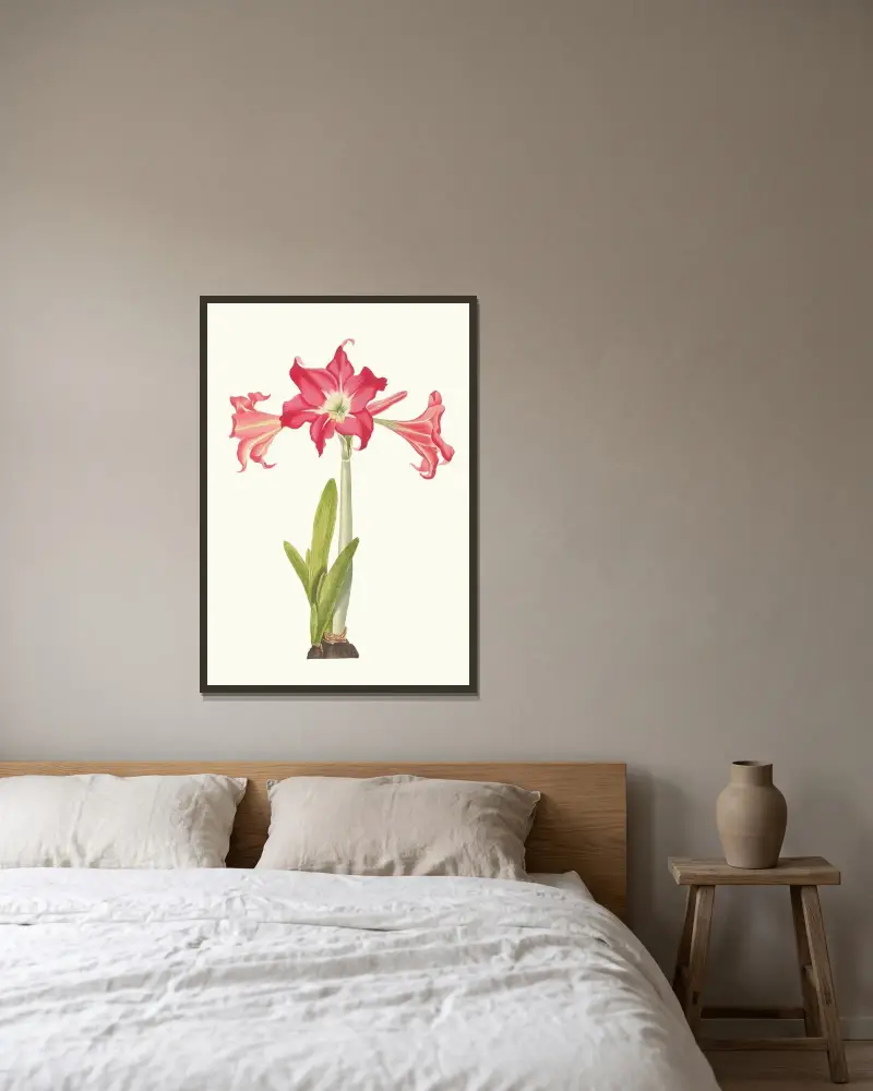 Amaryllis Solandriflora Var. eller Amaryllis Johnsoni av Priscilla Susan Bury inramad på en vägg