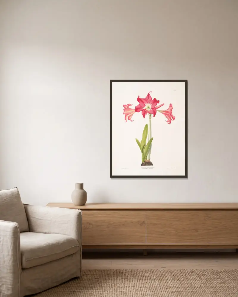 Amaryllis solandriflora var. or Amaryllis Johnsoni av Priscilla Susan Bury inramad på en vägg