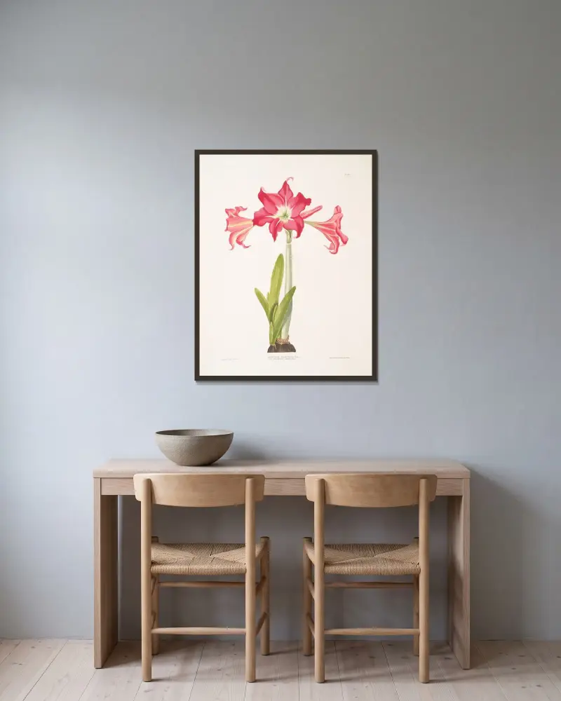 Amaryllis solandriflora var. or Amaryllis Johnsoni av Priscilla Susan Bury inramad på en vägg