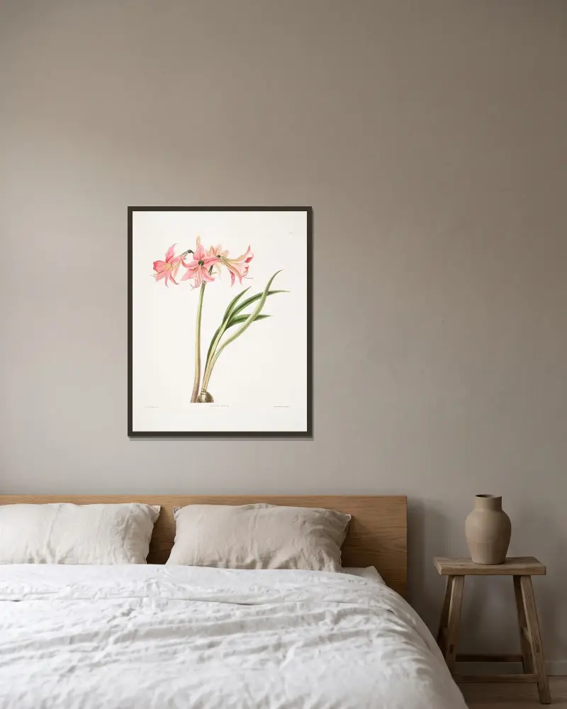 Amaryllis stilosa av Priscilla Susan Bury inramad på en vägg