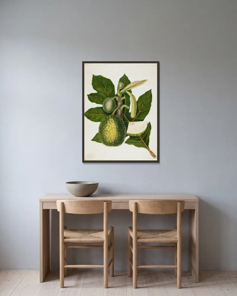 Artocarpus Incisa (The True Bread-fruit of the Phillipines) av Priscilla Susan Bury inramad på en vägg