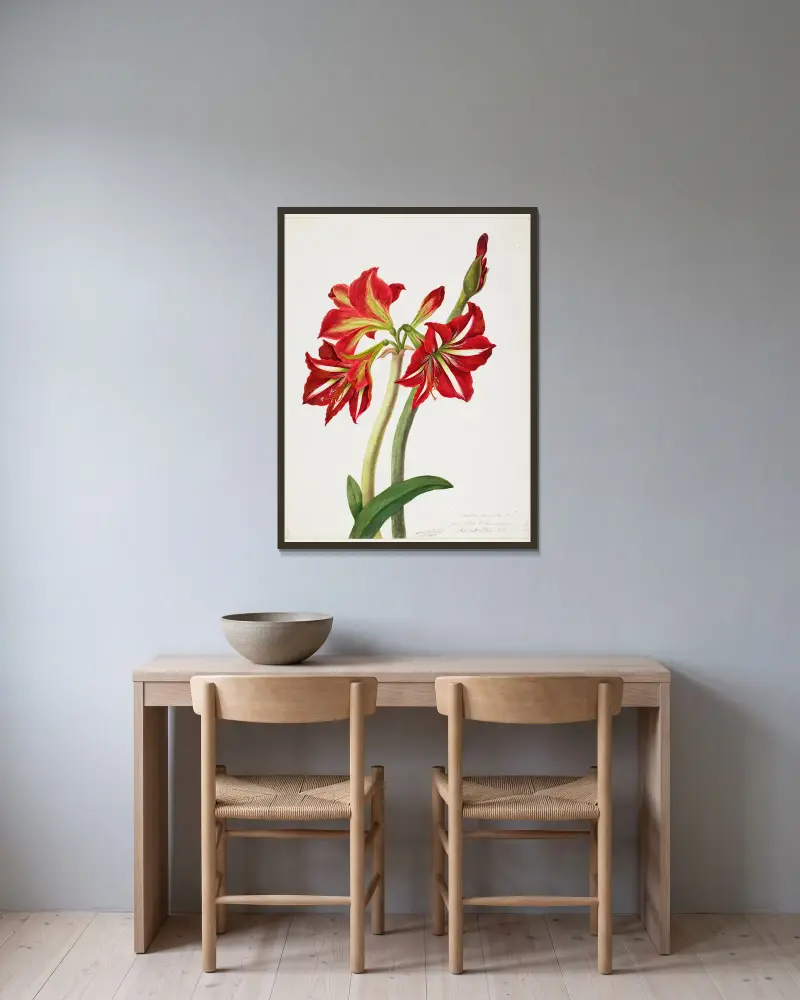 E.F. Seedling Amaryllis 1819 av Priscilla Susan Bury inramad på en vägg