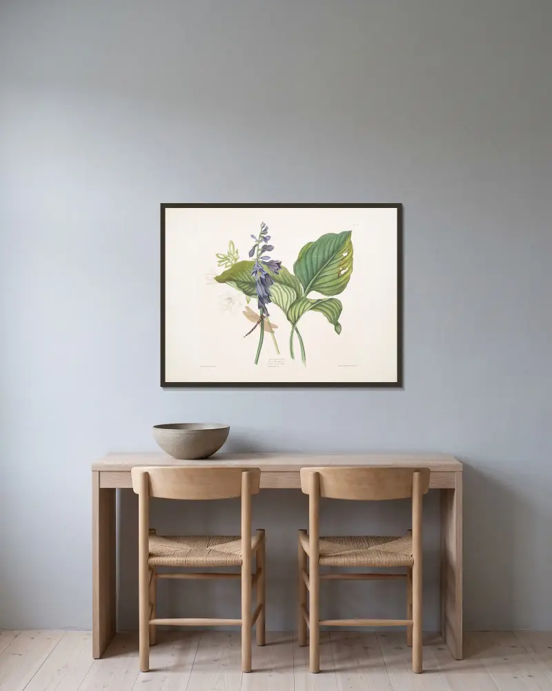 HemerecallisCarulea, Hemerecallis Japonica, Libellulac Anquis Harris, English dragon fly von Priscilla Susan Bury gerahmt an einer Wand