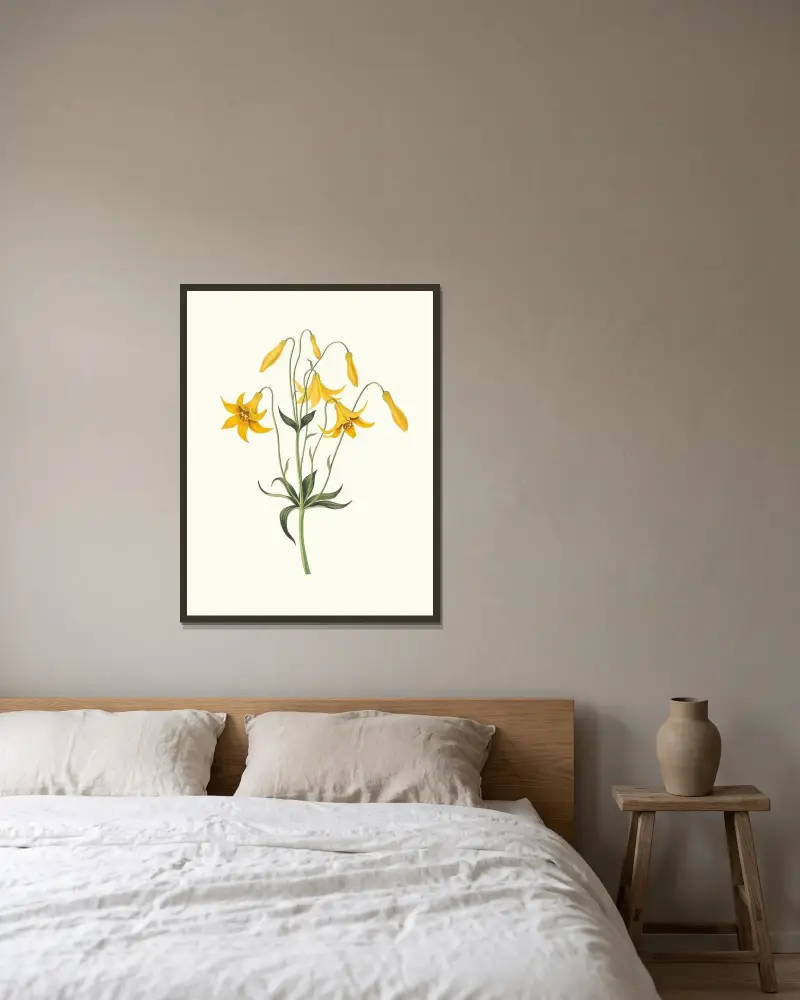 Kanadensisk lilja (Lilium Canadense) av Priscilla Susan Bury inramad på en vägg