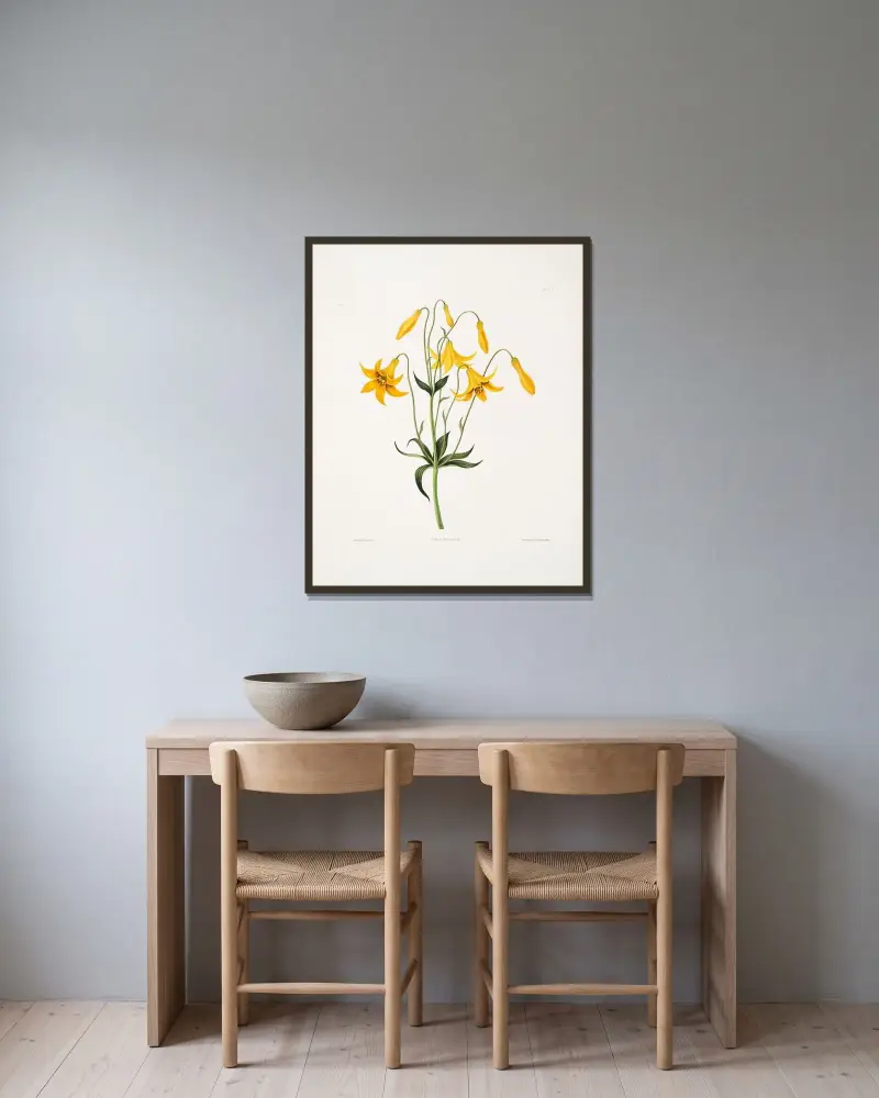 Lilium canadense (Kanadalilja) av Priscilla Susan Bury inramad på en vägg