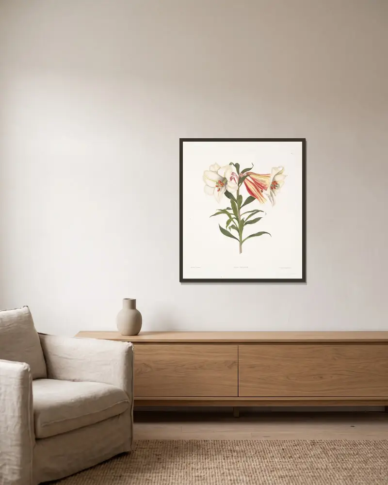 Lilium Japonicum av Priscilla Susan Bury inramad på en vägg