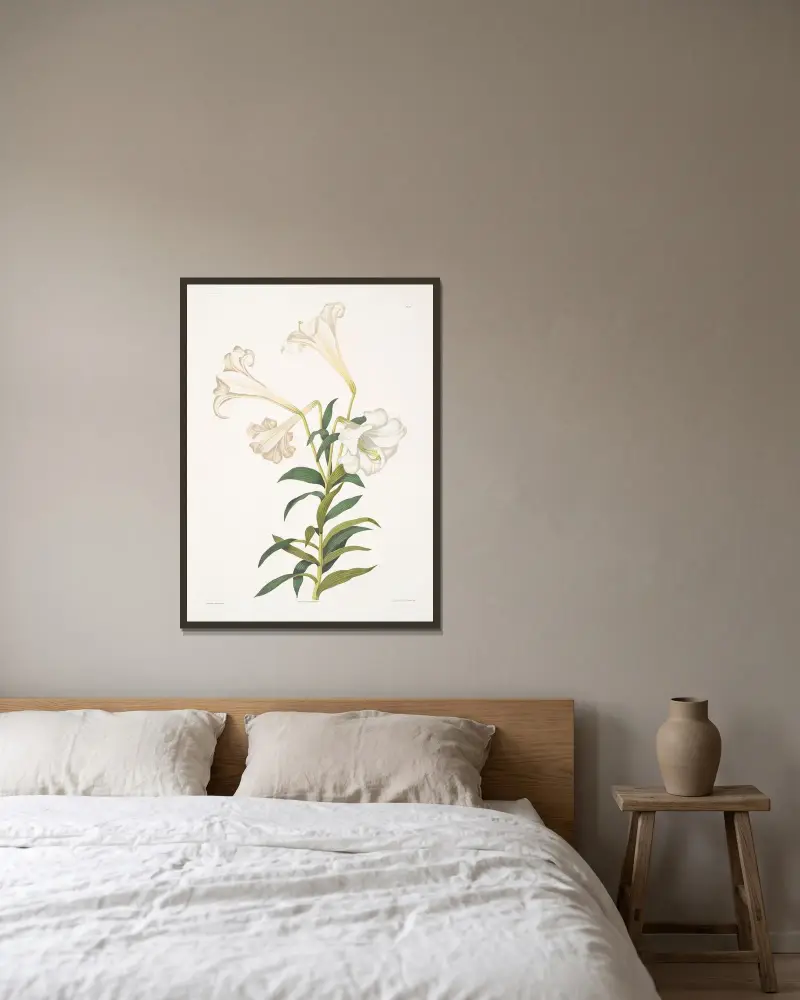 Lilium longiflorum av Priscilla Susan Bury inramad på en vägg