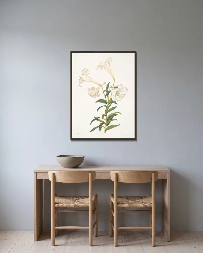 Lilium longiflorum av Priscilla Susan Bury inramad på en vägg