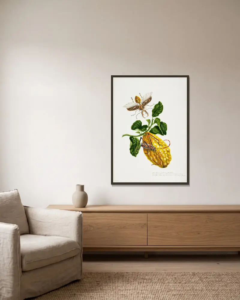 The Citron and Insects av Priscilla Susan Bury inramad på en vägg