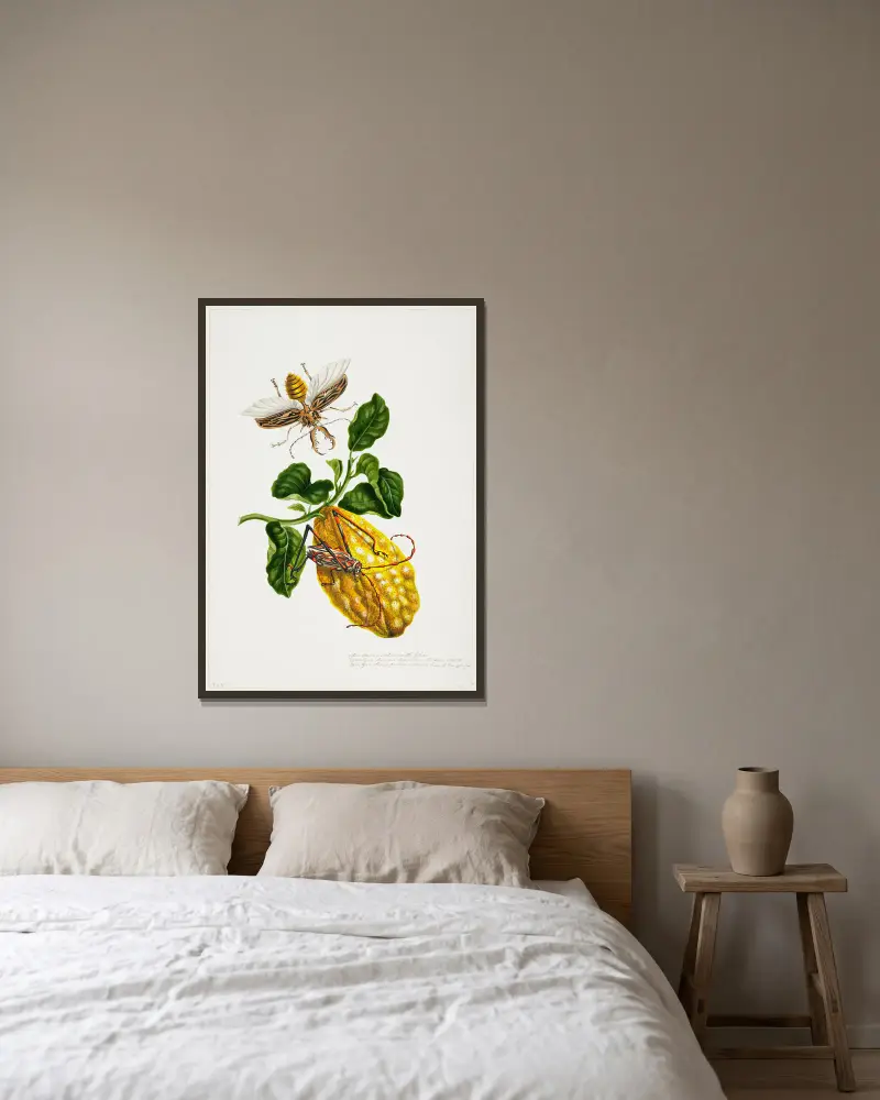 The Citron and Insects av Priscilla Susan Bury inramad på en vägg