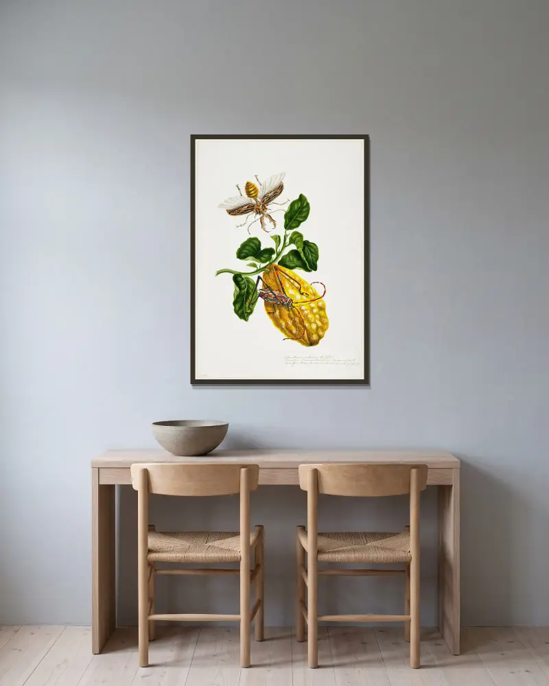 The Citron and Insects av Priscilla Susan Bury inramad på en vägg