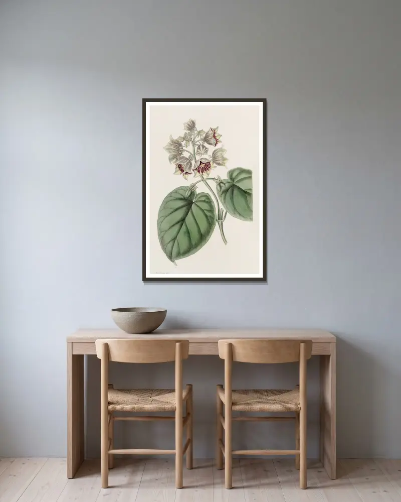 Glockenförmige Sarcostemma von Sydenham Edwards gerahmt an einer Wand