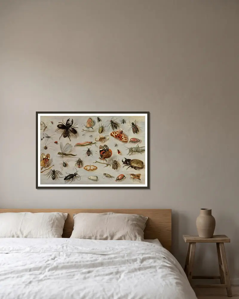 A Study of Butterflies, Moths, Spiders, and Insects av Jan Van Kessel The Elder inramad på en vägg