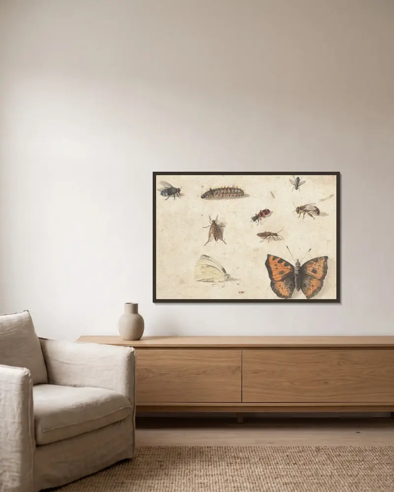 Sheet of Studies of Nine Insects av Jan Van Kessel The Elder inramad på en vägg