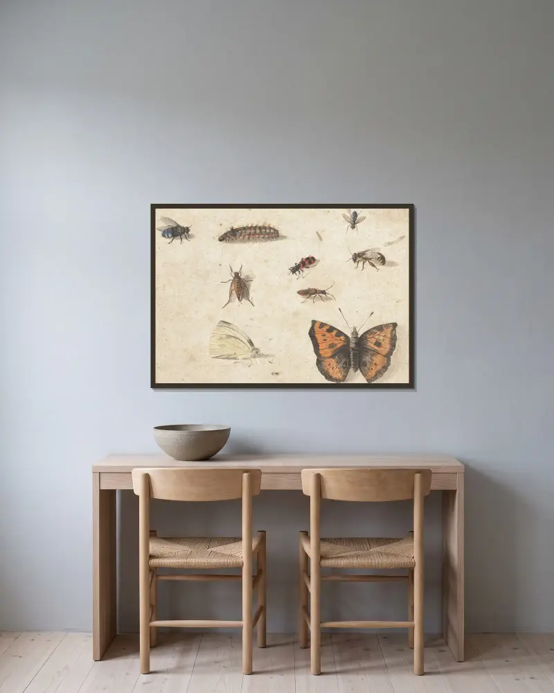 Sheet of Studies of Nine Insects av Jan Van Kessel The Elder inramad på en vägg