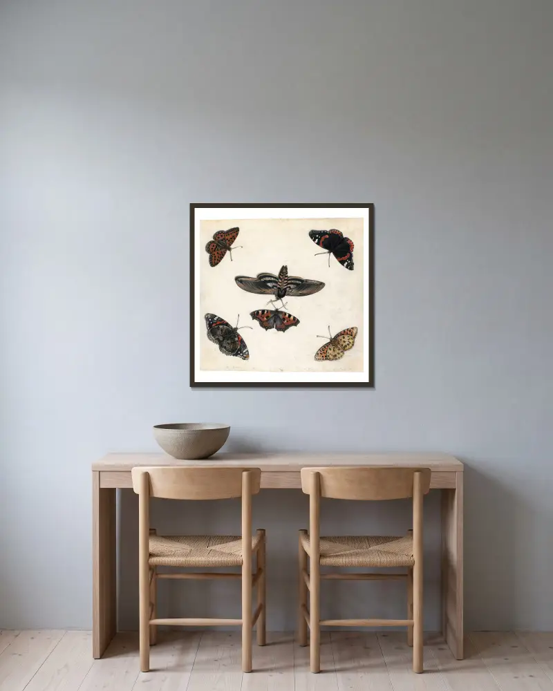 Studies Of Five Butterflies And A Hawk Moth av Jan Van Kessel The Elder inramad på en vägg