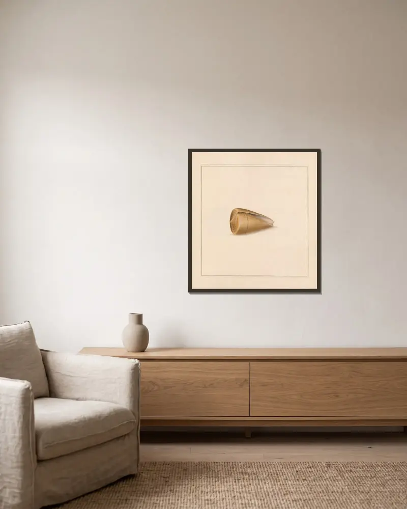 Der Universal-Conchologe Pl. 40 von Thomas Martyn gerahmt an einer Wand