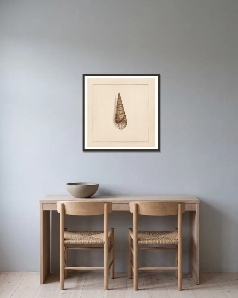Tafel 58 aus The universal conchologist von Thomas Martyn gerahmt an einer Wand