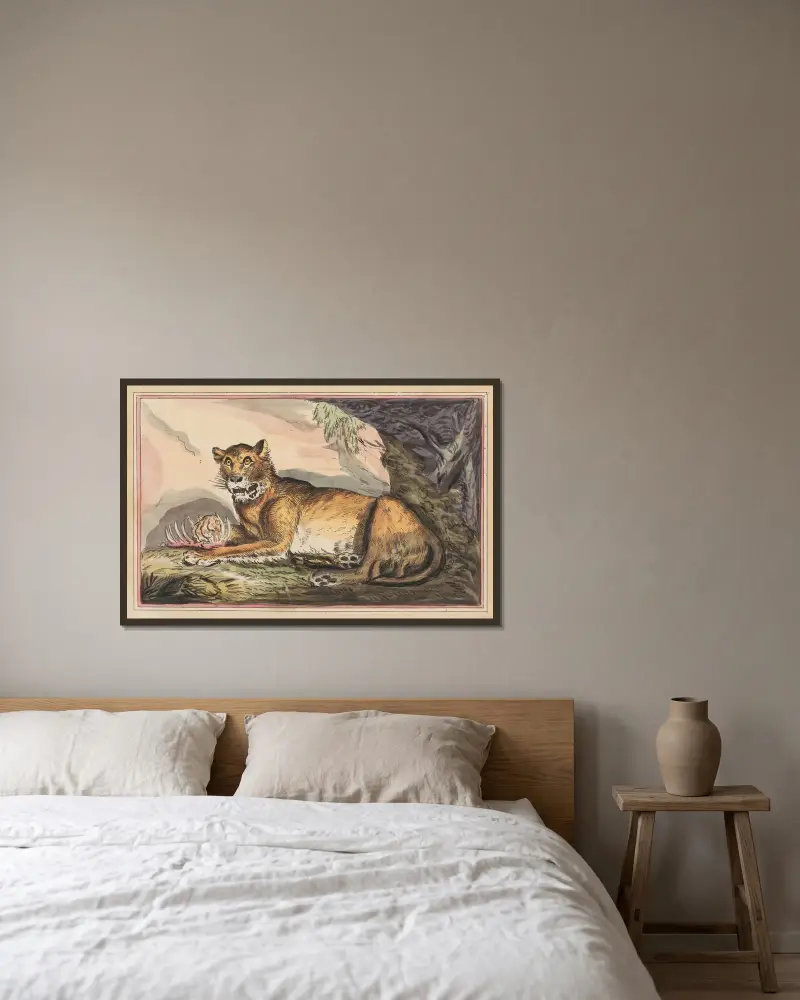 The Lioness von Thomas Rowlandson gerahmt an einer Wand