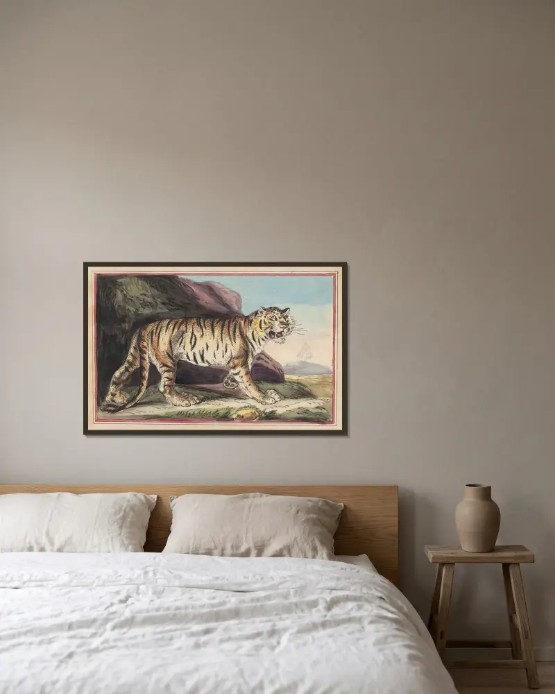 Tigern av Thomas Rowlandson inramad på en vägg