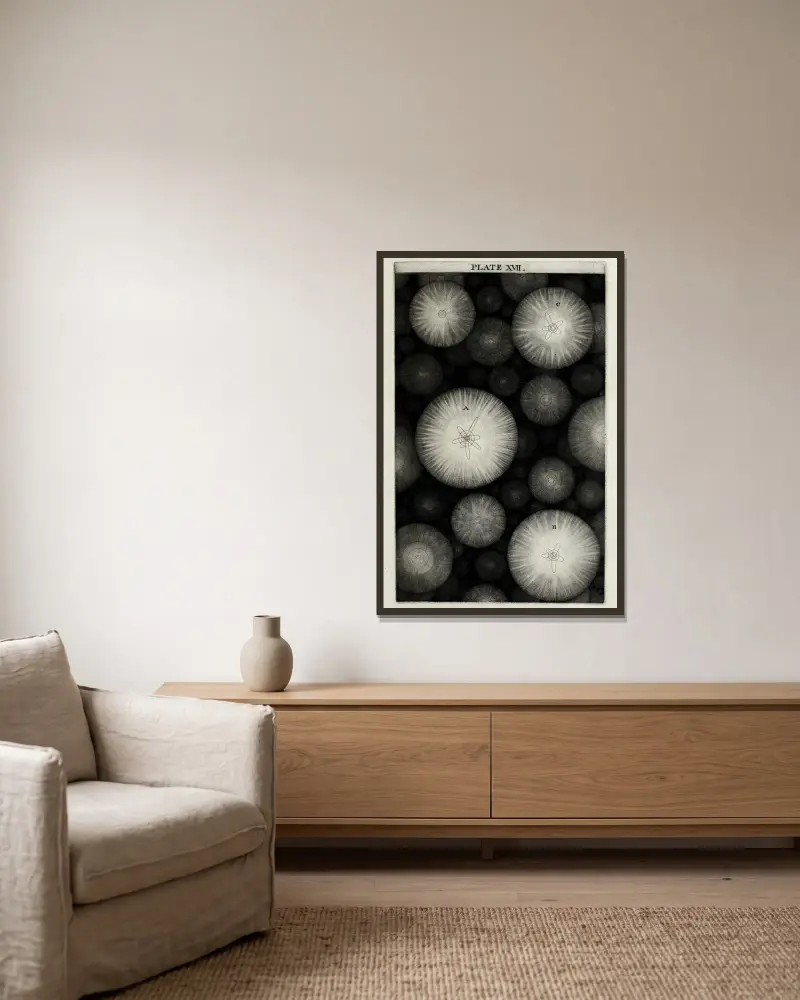 An original theory or new hypothesis of the universe, Plate XVII av Thomas Wright inramad på en vägg