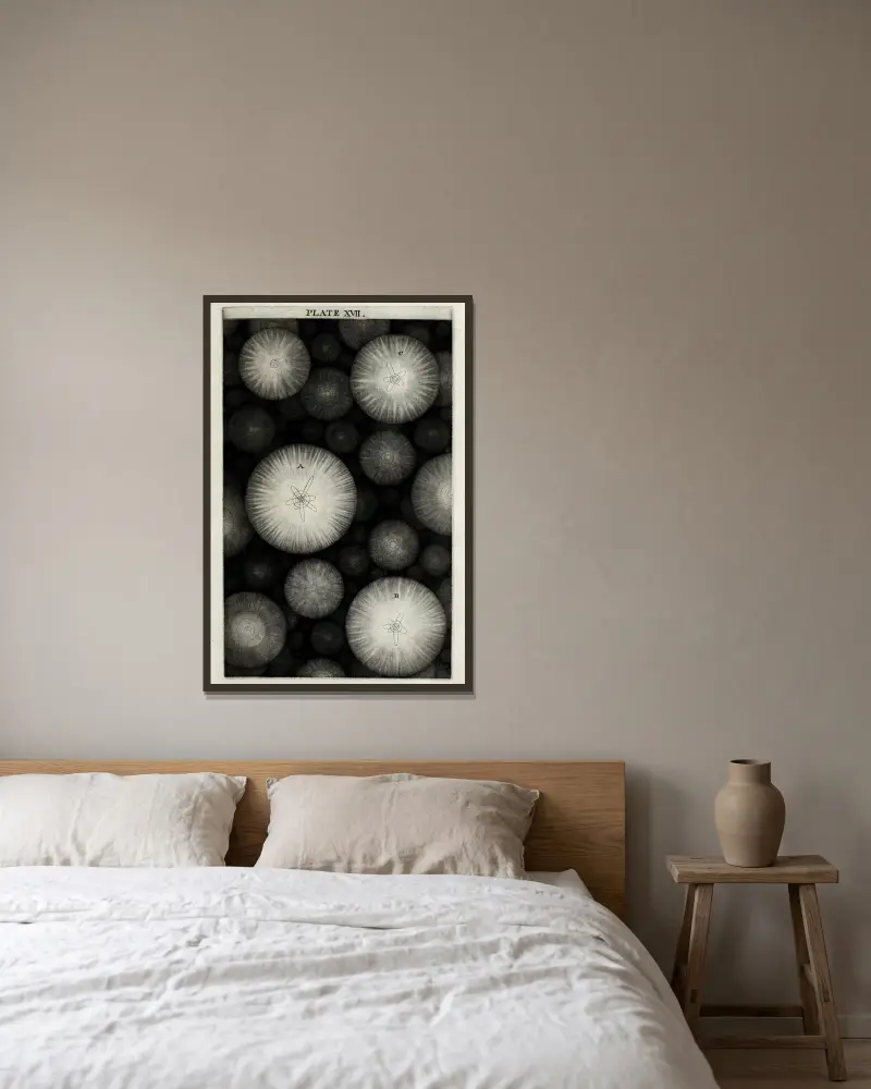 An original theory or new hypothesis of the universe, Plate XVII av Thomas Wright inramad på en vägg