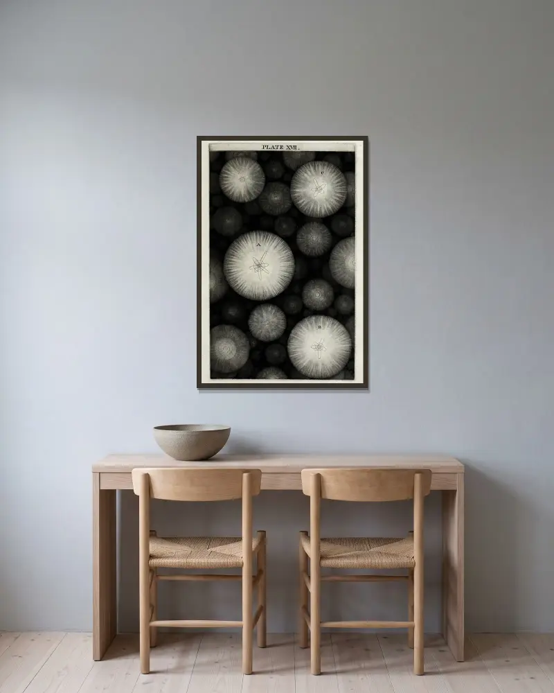 An original theory or new hypothesis of the universe, Plate XVII av Thomas Wright inramad på en vägg