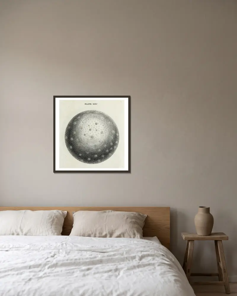 An original theory or new hypothesis of the universe, Plate XXIV av Thomas Wright inramad på en vägg